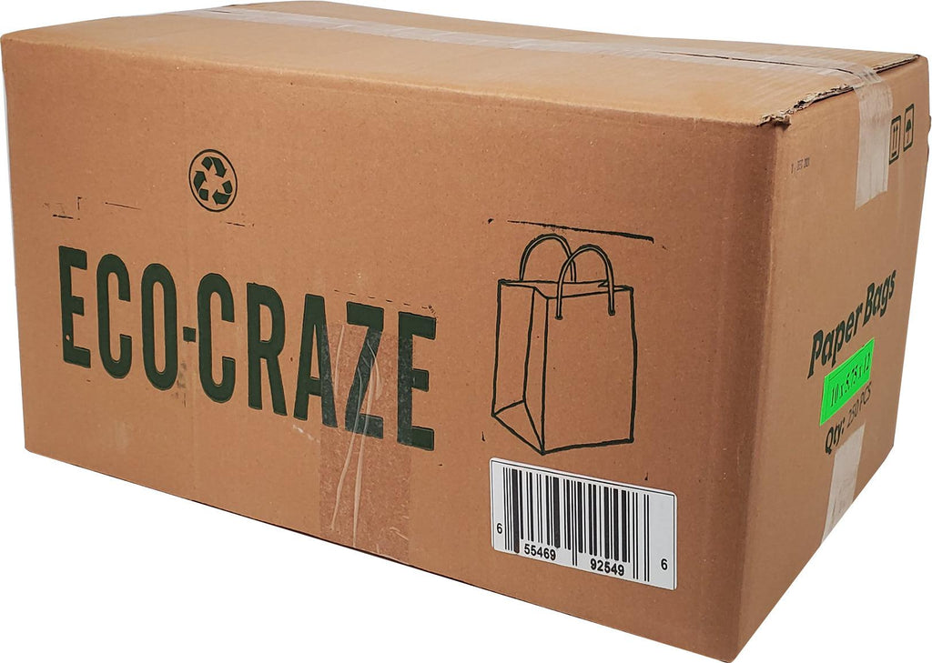 Eco-Craze - 8x5x11 Kraft Paper Bag - Twisted Handle - 250 count-3